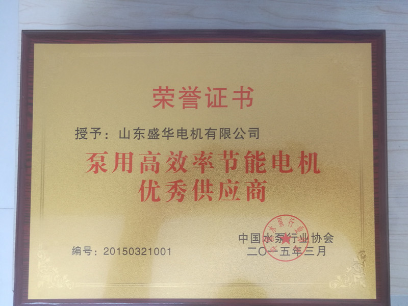  盛華電機公司資質榮譽《泵用電機優(yōu)秀供應商》